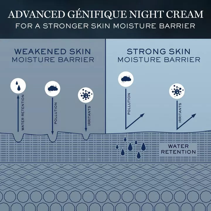 Lancôme Advanced Génifique Night Cream